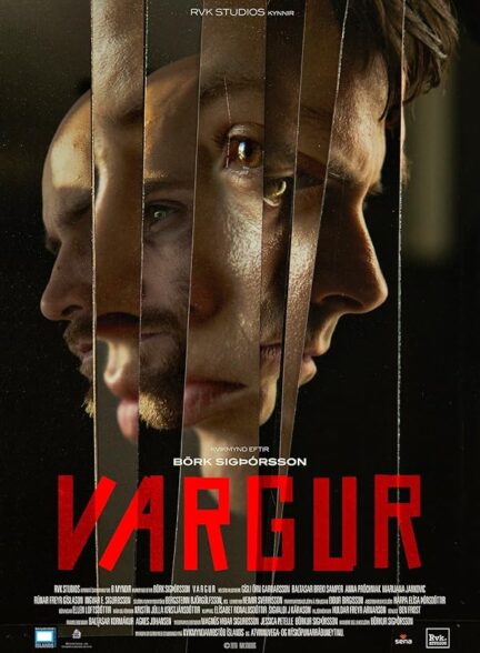 فیلم کرکس ها